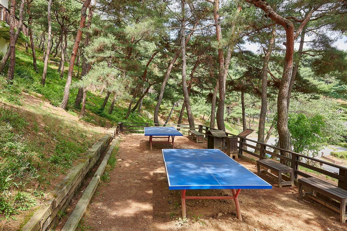 Club Es Jecheon Resort Chechon Экстерьер фото